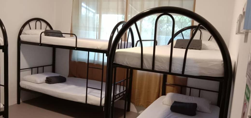 Karya Story Hostel كودات المظهر الخارجي الصورة
