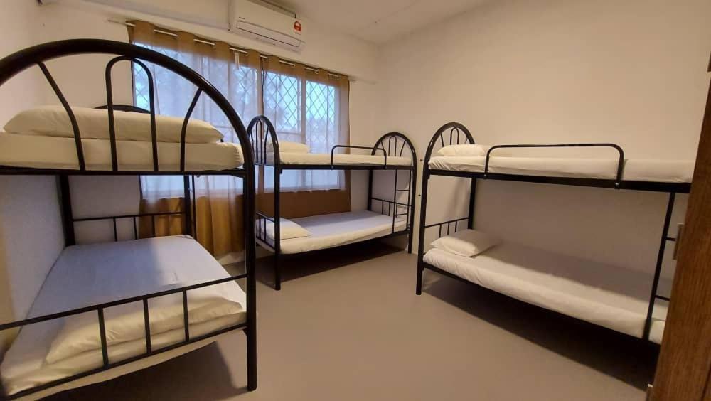 Karya Story Hostel كودات المظهر الخارجي الصورة